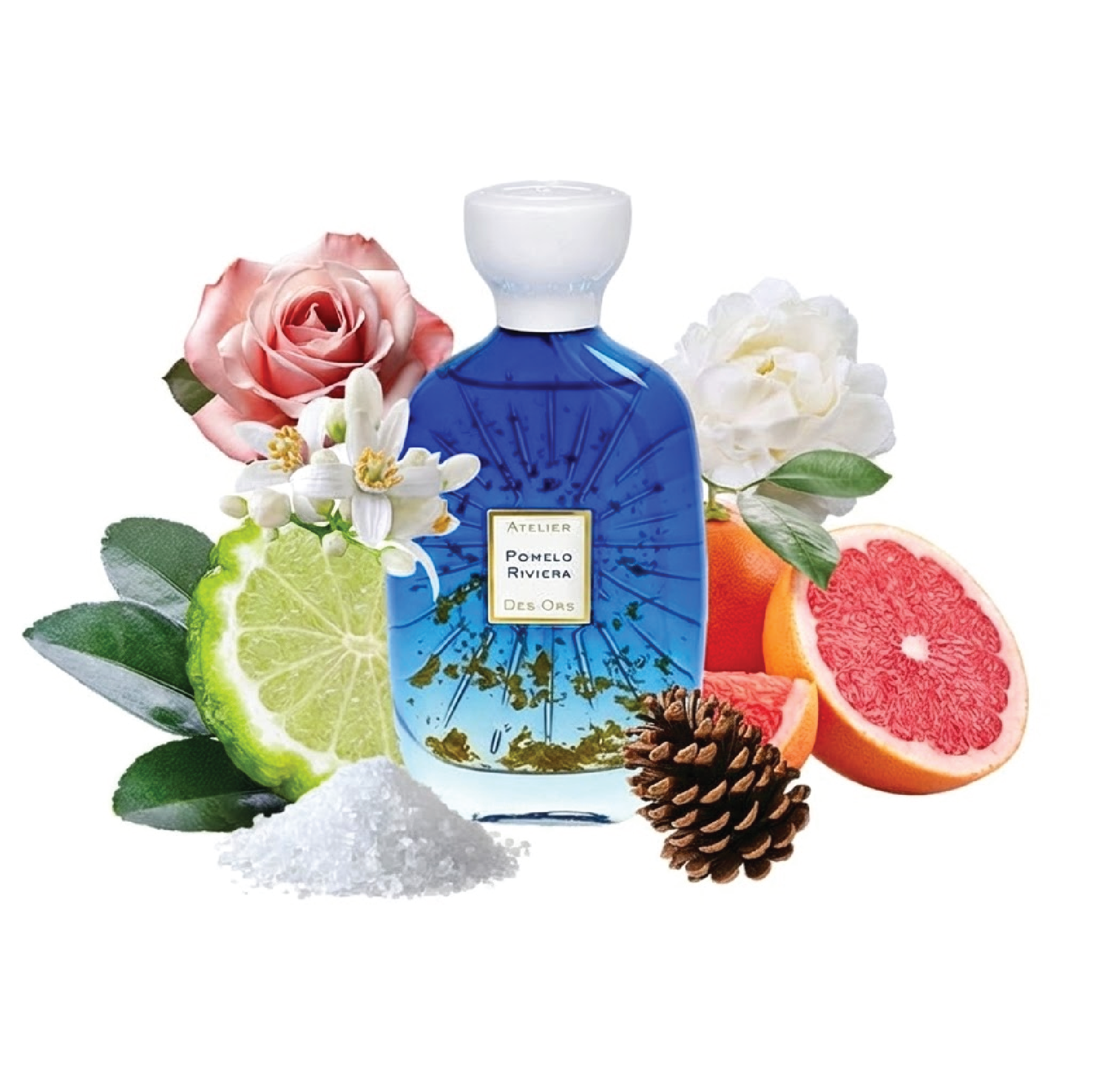 Citrus Discovery Set - 5x3ml